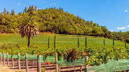 Saint Helena Hotels