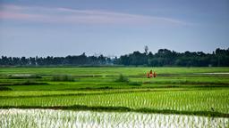 West Bengal hotels