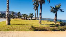 Nador car rentals