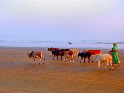 Digha