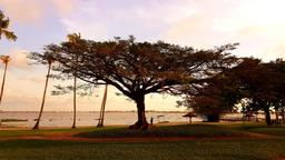 Find cheap flights from Toronto Pearson Airport to Abidjan