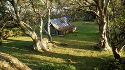 Falls Creek Hotels