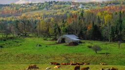 Sherbrooke Hotels