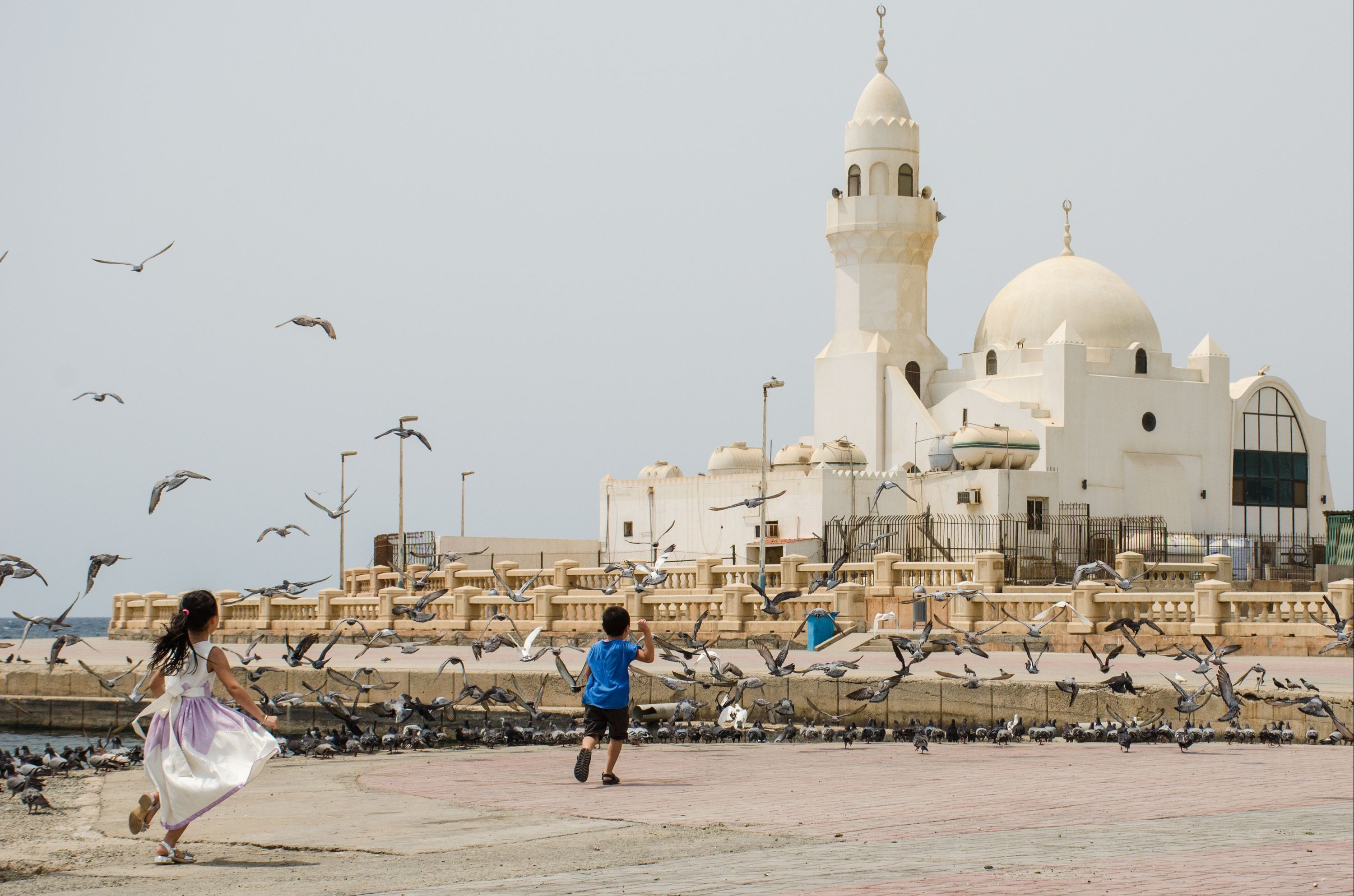 C 422 Cheap Flights from Toronto to Jeddah (YYZ JED) KAYAK