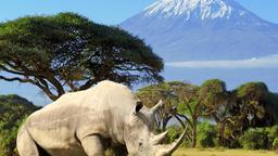 Amboseli hotel directory