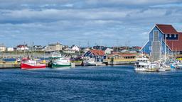 Bonavista hotel directory