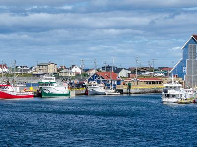 Bonavista