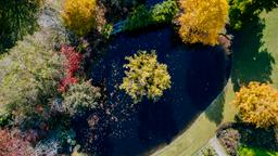 Dandenong car rentals