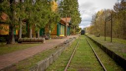 Bialowieza Hotels