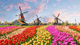 Find cheap flights from Saskatoon to North Holland