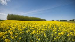 Cambrai car rentals
