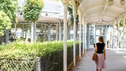 Vichy car rentals