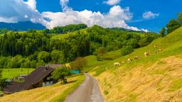 Thal car rentals