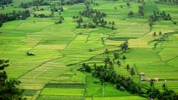 Find cheap flights from Manila to Legazpi City