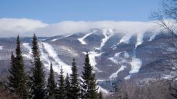 Find cheap flights from Milan Malpensa to Canada