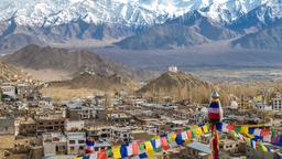 Find cheap flights to Leh