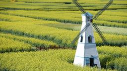 Find cheap flights from Regina to China