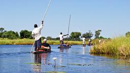 Hotels near Maun airport