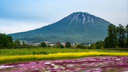 Kutchan Hotels