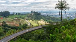 Find cheap flights from Bogotá to Pereira