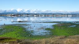 Find cheap flights from Netherlands to Comox