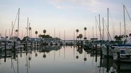 Dunedin Hotels