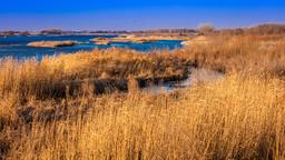 Hotels near Grand Island airport