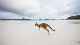 Esperance car rentals