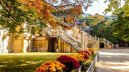 Gyeongju Hotels