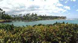 Waikoloa Village vacation rentals