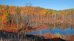 Find cheap flights from Thunder Bay to New York