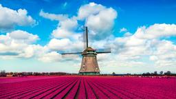 Find cheap flights to the Netherlands