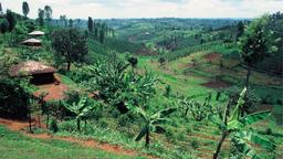 Nyeri Hotels