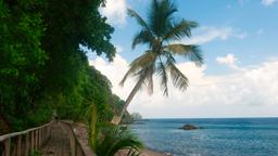 Find First Class Flights to Dominica