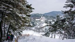 Find cheap flights from Toronto Pearson Intl to Cheongju