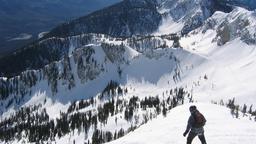 Fernie hotel directory