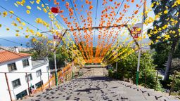 MISSING STRING [AIRLINE_PAGE_TITLE]