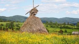 Find cheap flights from British Columbia to Ukraine
