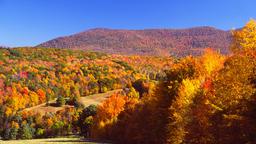 Norwood car rentals