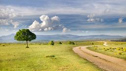 Palencia car rentals