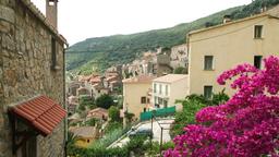 Find cheap flights from Toronto Pearson Intl to Corsica