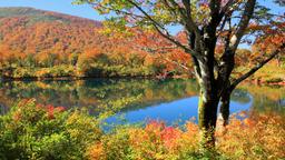 Akita Prefecture vacation rentals