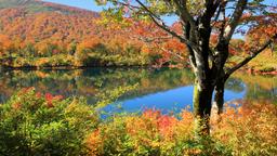 Akita car rentals