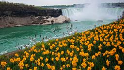 Niagara Falls vacation rentals
