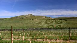 Hotels near Santa Maria Public airport