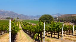 Santa Maria car rentals