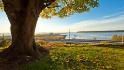 Everett Hotels