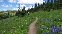 Manning Park Hotels