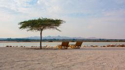 Hotels near Sir Bani Yas Island Airport