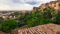 Borgo car rentals